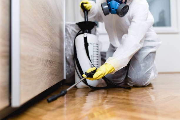 Best Commercial Pest Control Services  in Lambertville, NJ
