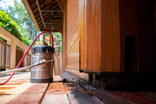 Best Best Pest Control Companies  in Lambertville, NJ