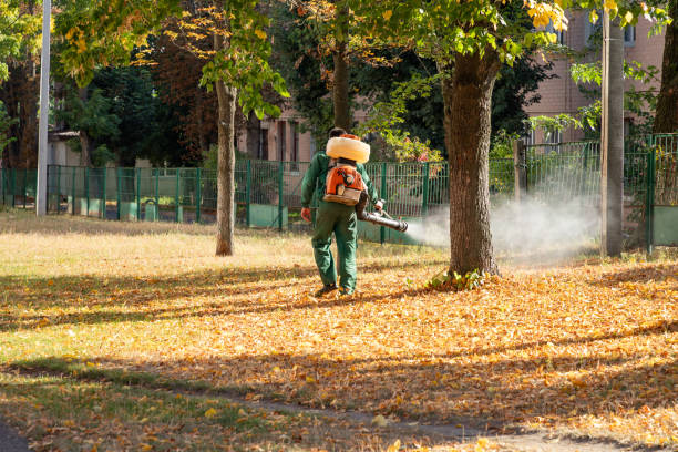 Spider Control Near Me in Lambertville, NJ