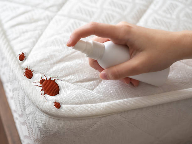 Professional Pest Control in Lambertville, NJ