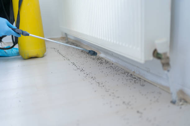 Best Cockroach Control Services  in Lambertville, NJ