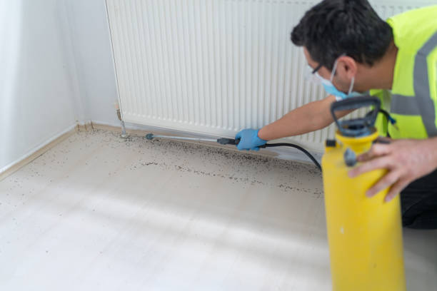 Best Ant Control Services  in Lambertville, NJ