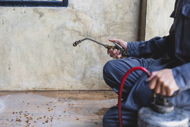 Best Affordable Pest Control Services  in Lambertville, NJ